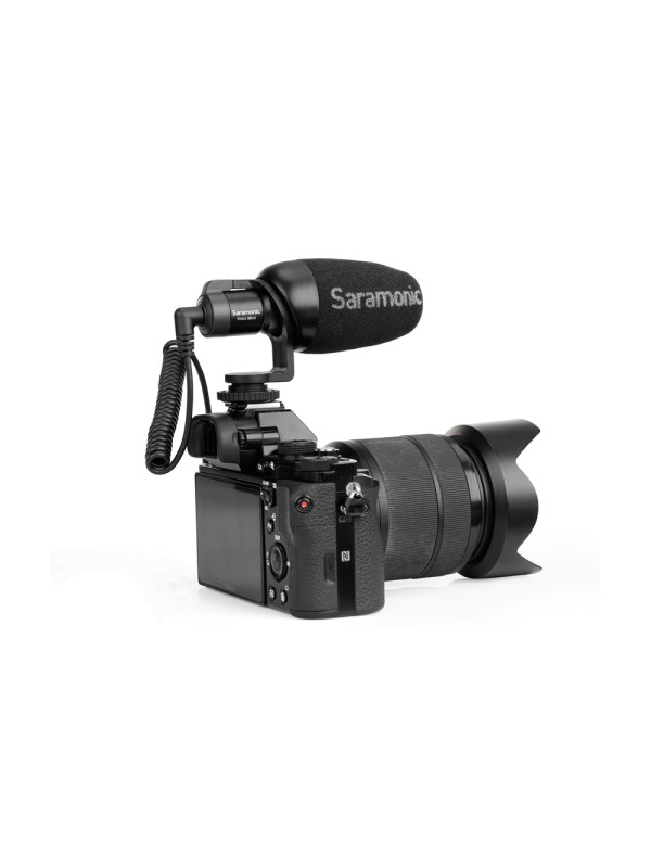 Vmic mini 2